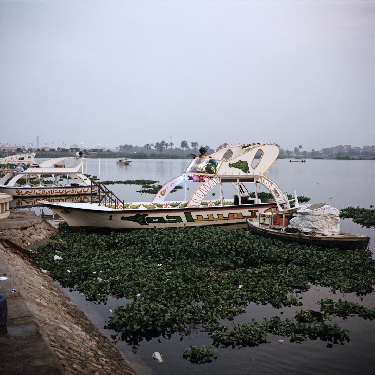 Colorful recreational boats moored in shallow water with aquatic vegetation near the Suez Canal.