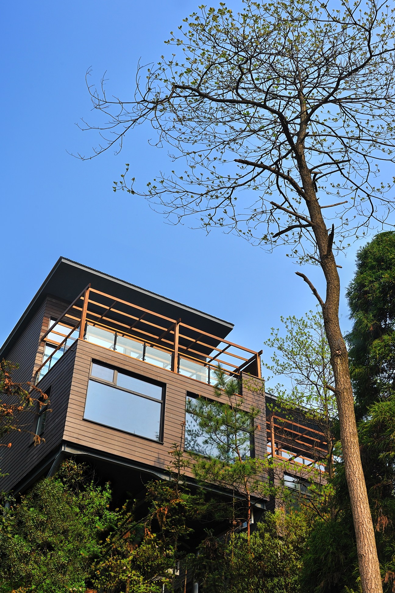 Modern elevated villa with wooden railings and large windows nestled among trees in a forest setting.