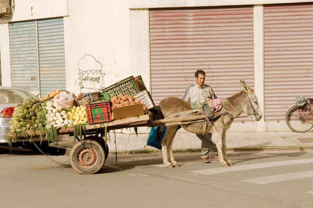 A vendor with a donkey-drawn cart selling fresh fruit and vegetables on a Casablanca street.
