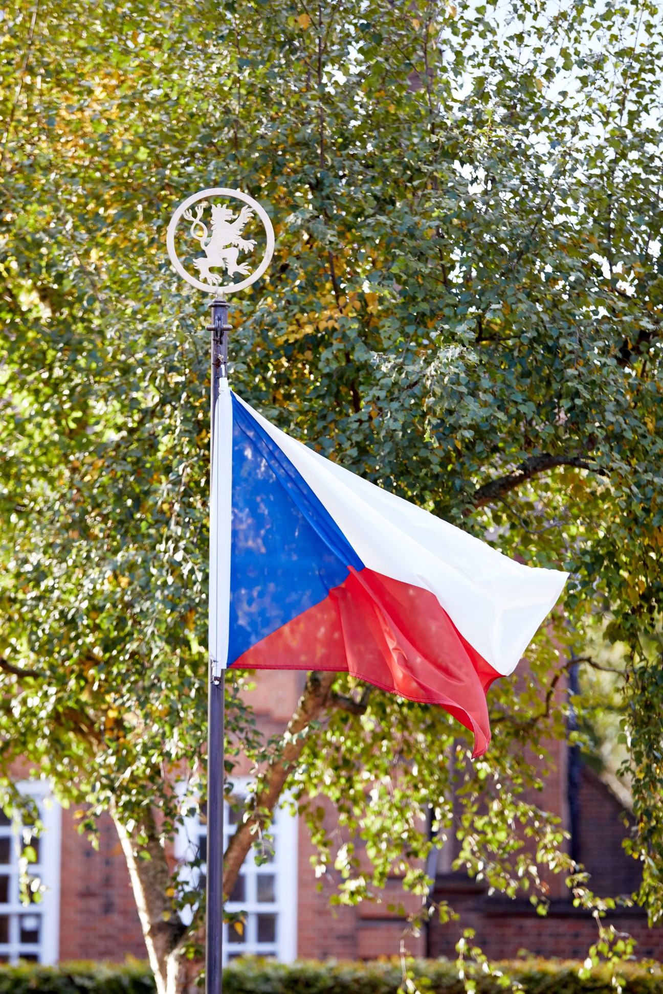 Czech flag flying on a pole beneath ivy-covered trees with a brick building visible in the background.