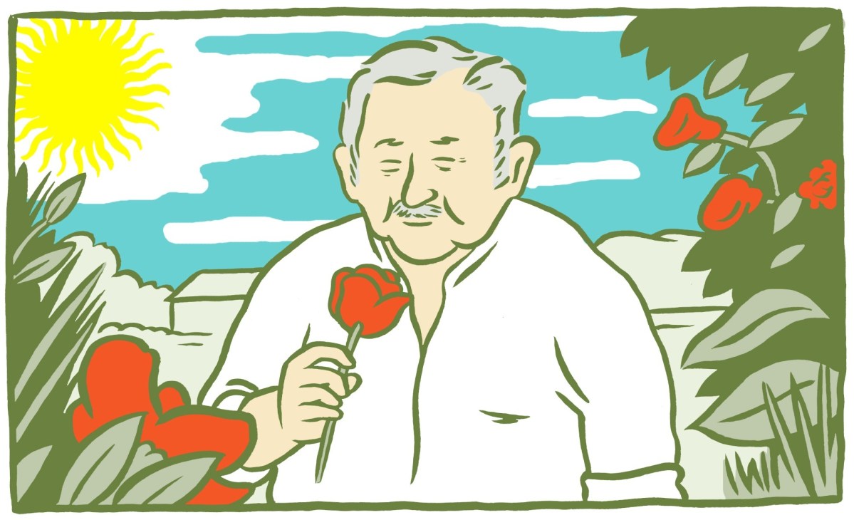 Illustration of Uruguay's president José Mujica holding a red flower in his garden under the sun.