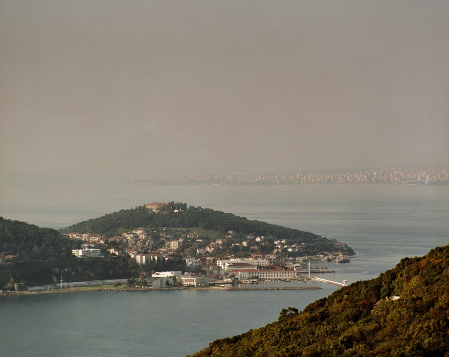 View from a forested hilltop of Buyukada island with pine-covered slopes, residential buildings, and the Bosphorus strait with Istanbul's skyline visible across the water.