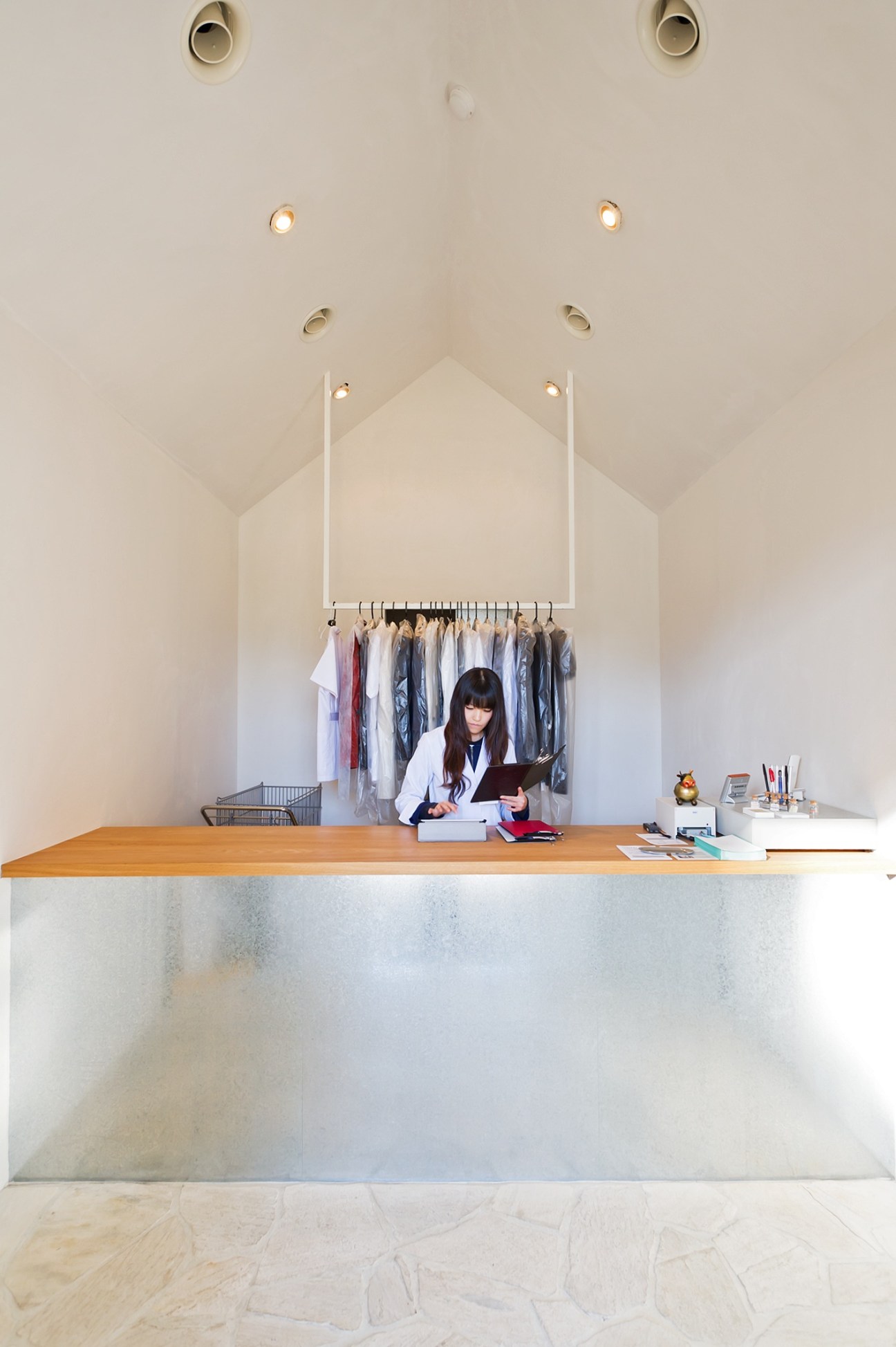 Minimalist retail shop interior with vaulted ceiling, woman at wooden counter, clothing rack, recessed lighting.