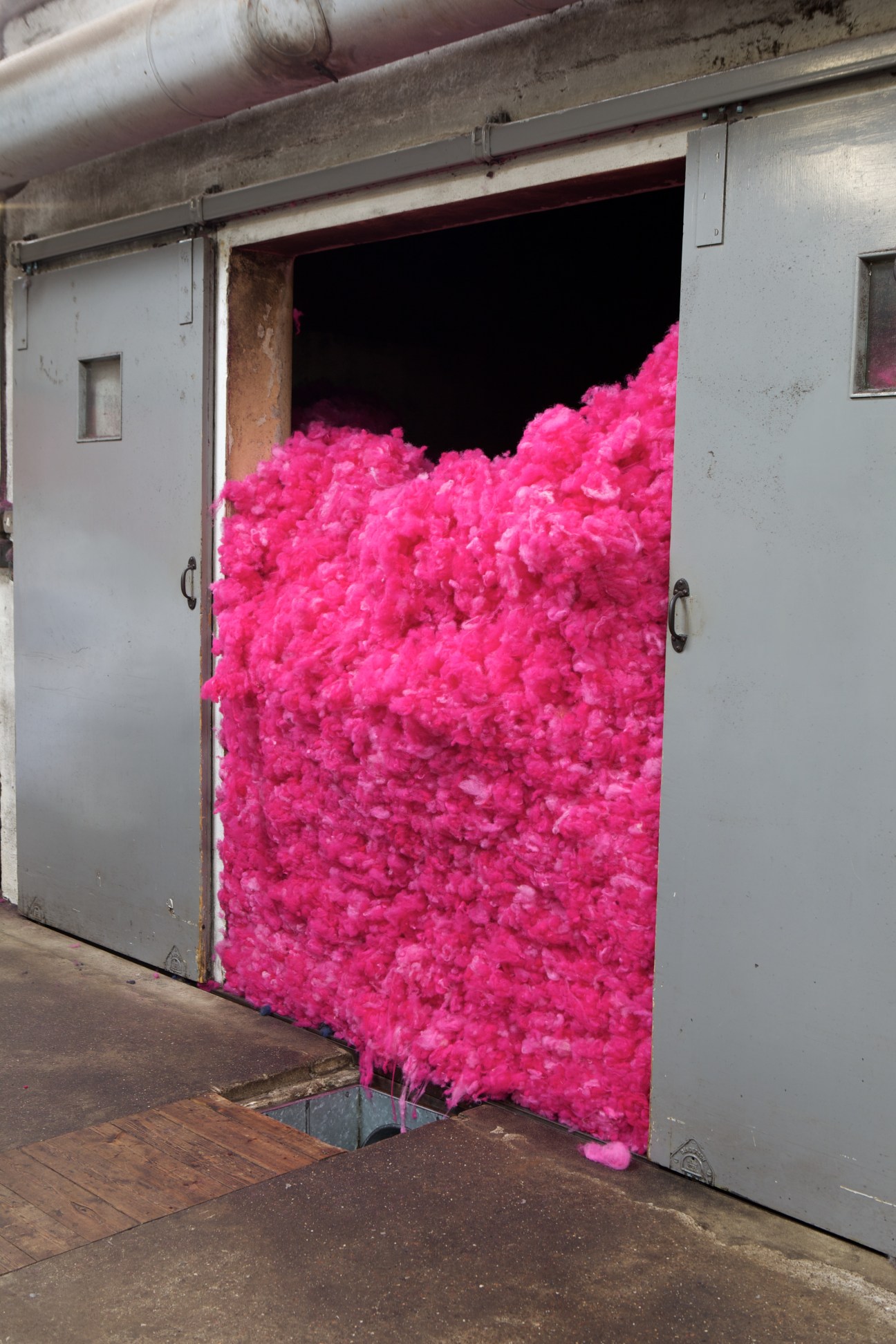 Bright pink dyed wool fills a factory doorway and blending bin during Harris Tweed production.