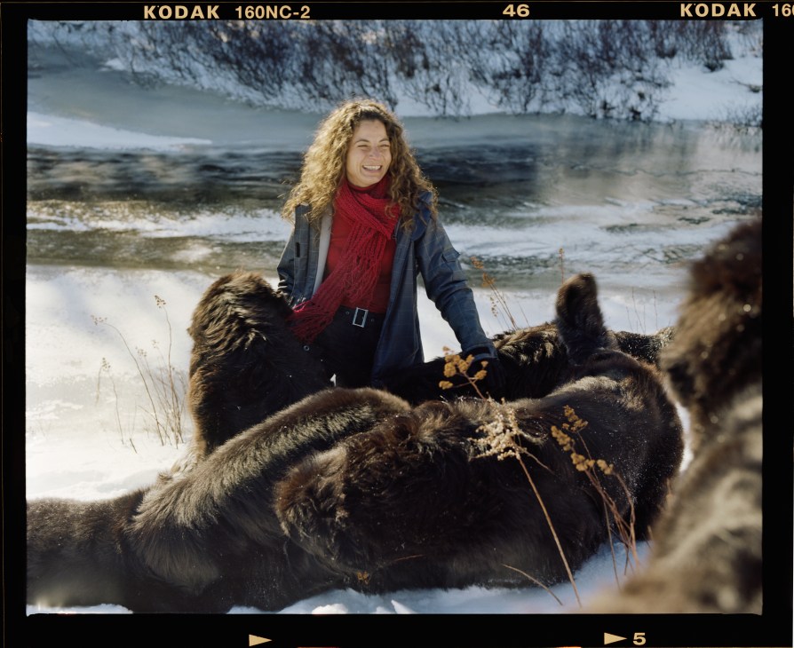 Monica Dominguez with Newfoundland dogs on a snowy beach with icy cliffs behind.