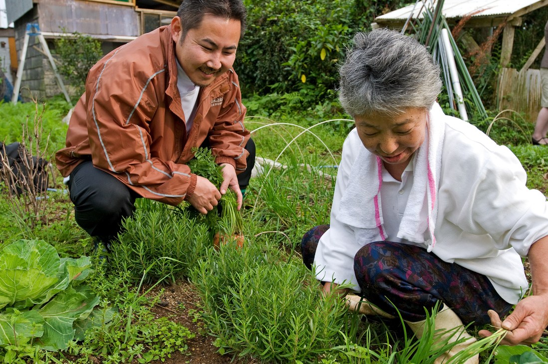 Chef Chiharu Takei crouches beside a local farmer harvesting herbs in a vegetable garden.