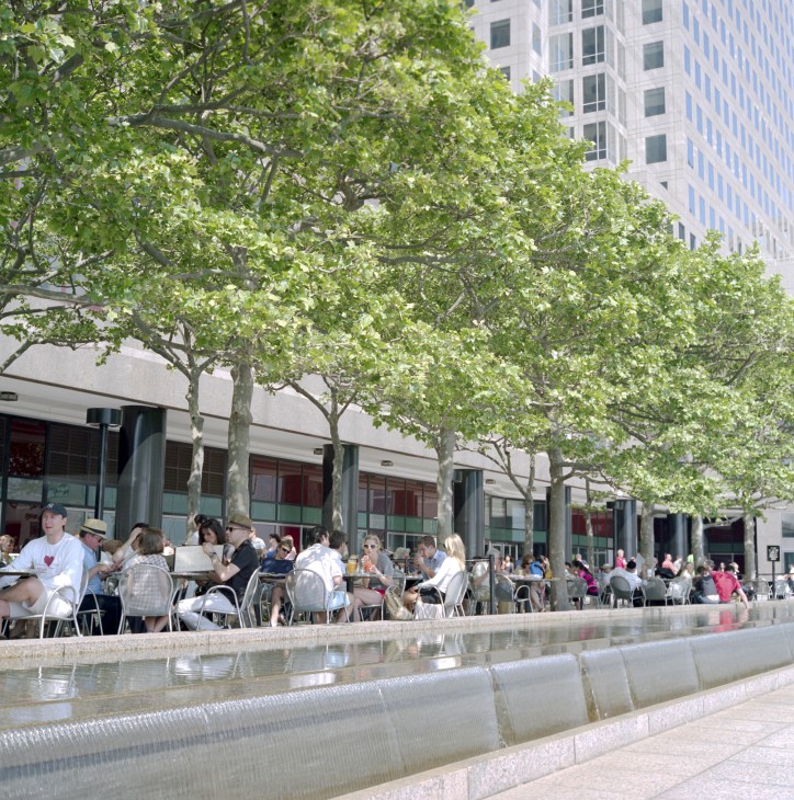 People seated at outdoor tables beneath leafy trees beside a water feature in an urban plaza.