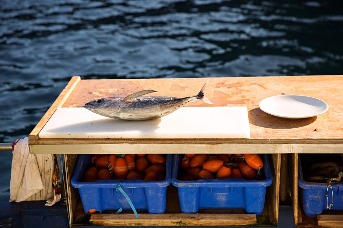 Fresh tuna fish laid on a wooden surface with a white plate nearby, positioned above blue storage crates on a fishing boat.