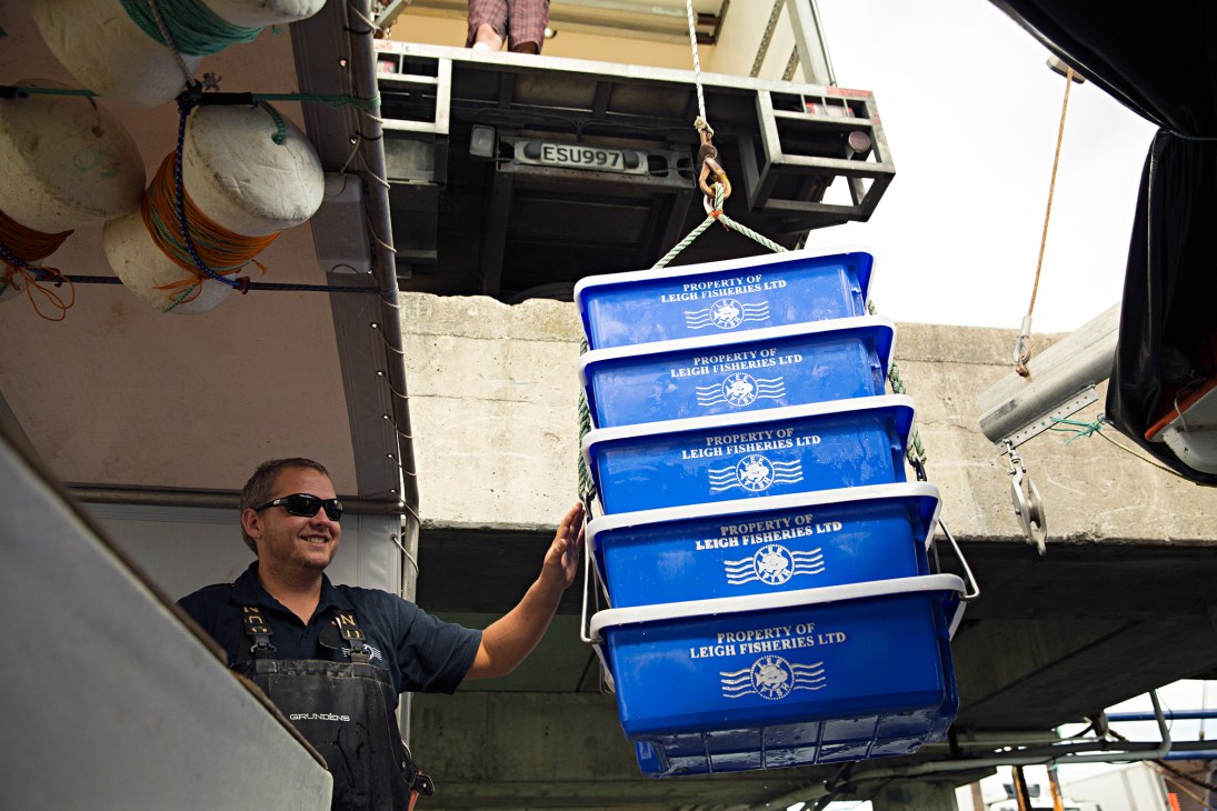 Daniel Harvey guides stacked blue Leigh Fisheries boxes being hoisted from boat to truck.