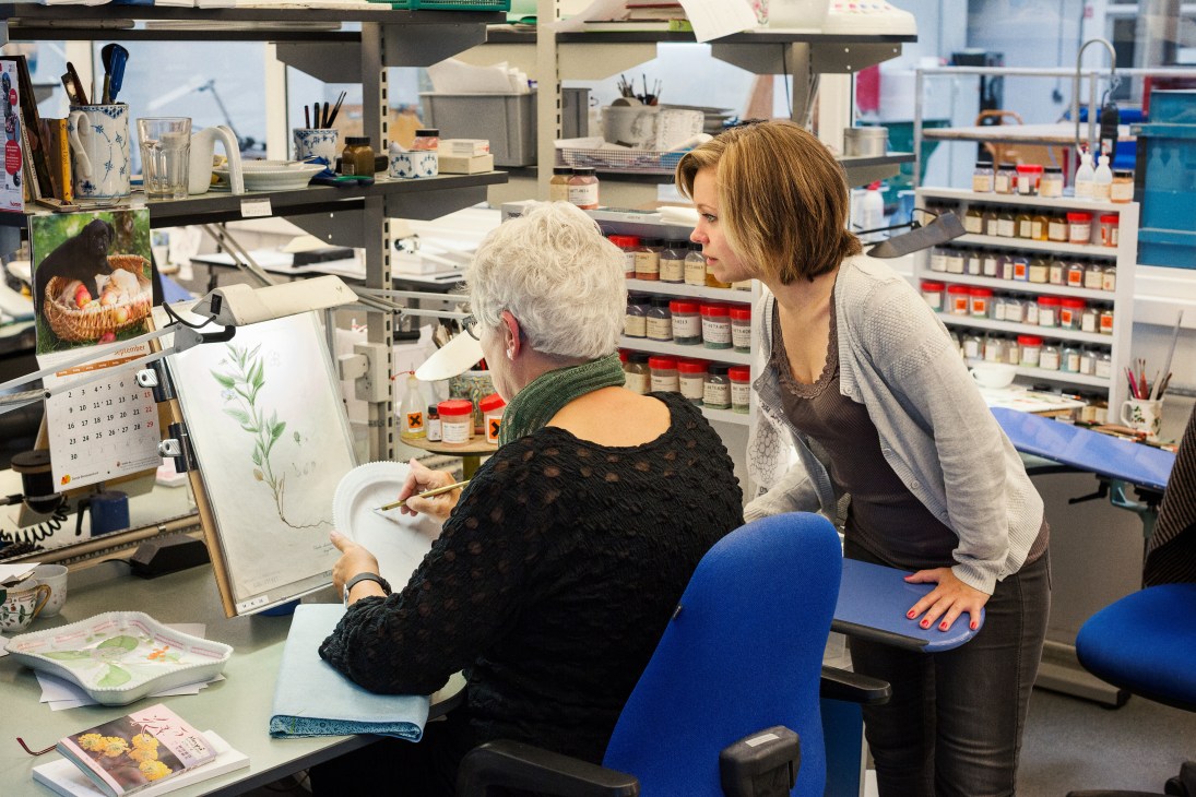 Judith Sørensen instructs apprentice Jacqueline Tranemose Fredericia on Flora Danica porcelain painting in Royal Copenhagen's studio.
