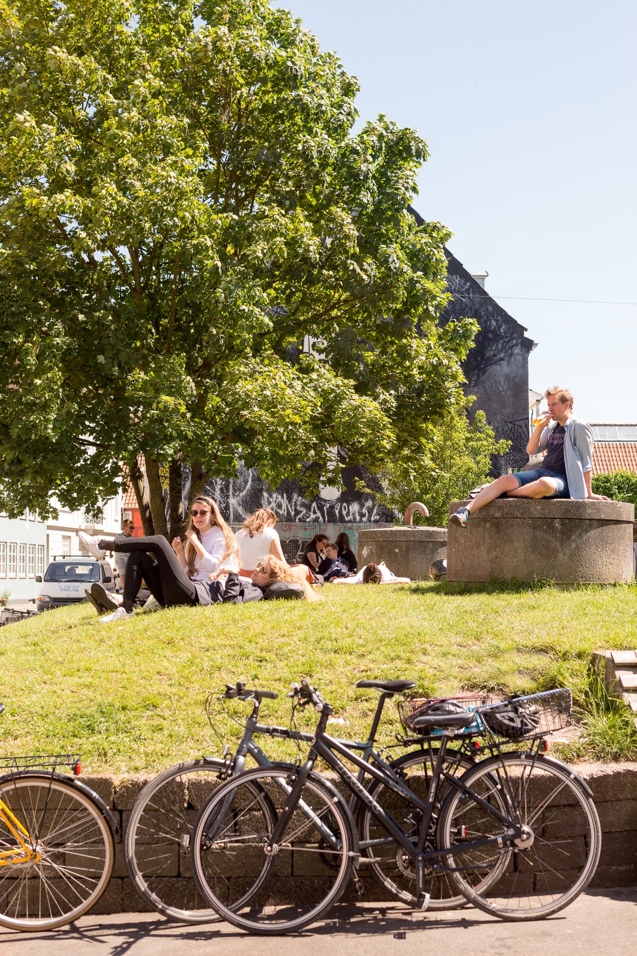 People relaxing in a green park under large trees with bicycles parked in foreground.