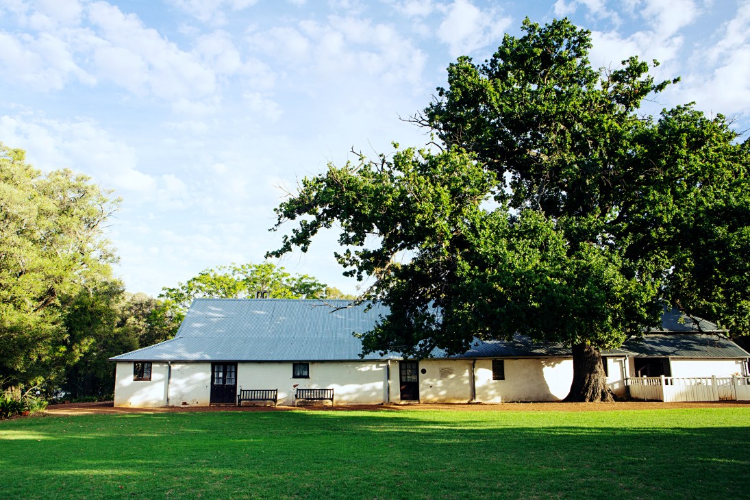 Tranby House, a white early settlers' cottage with metal roof surrounded by large trees and green lawn.