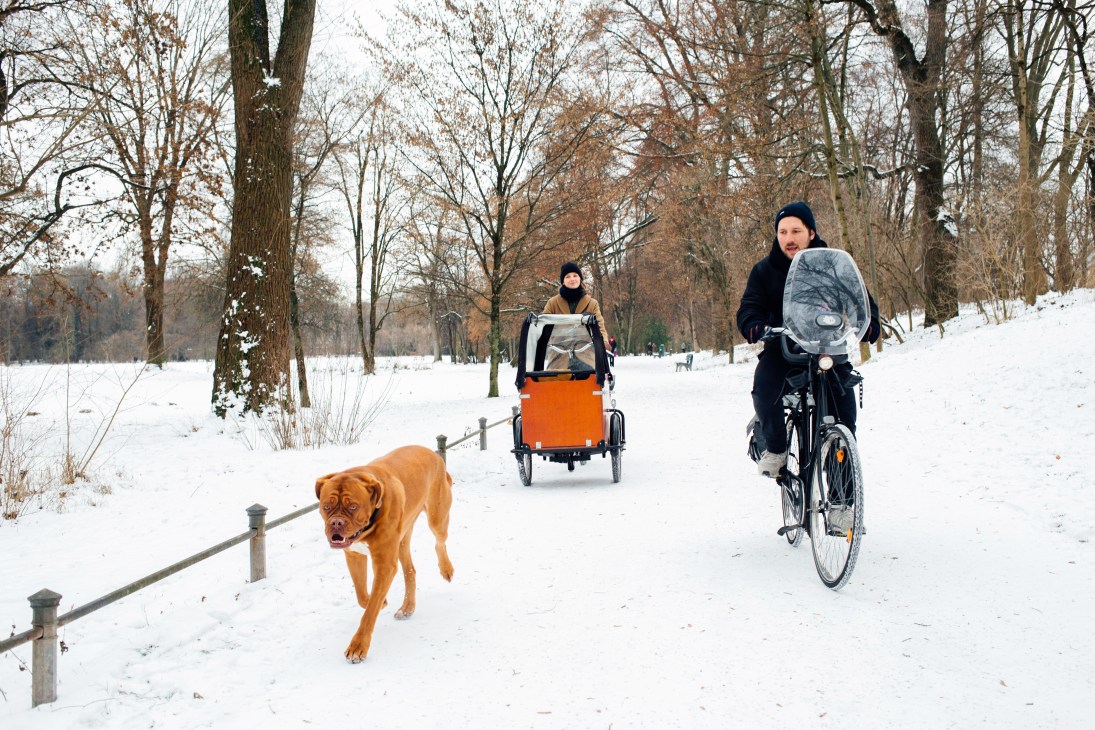A woman and man ride a bike and pull a child in an orange cargo trailer while a brown dog runs alongside on a snowy path lined with bare trees.