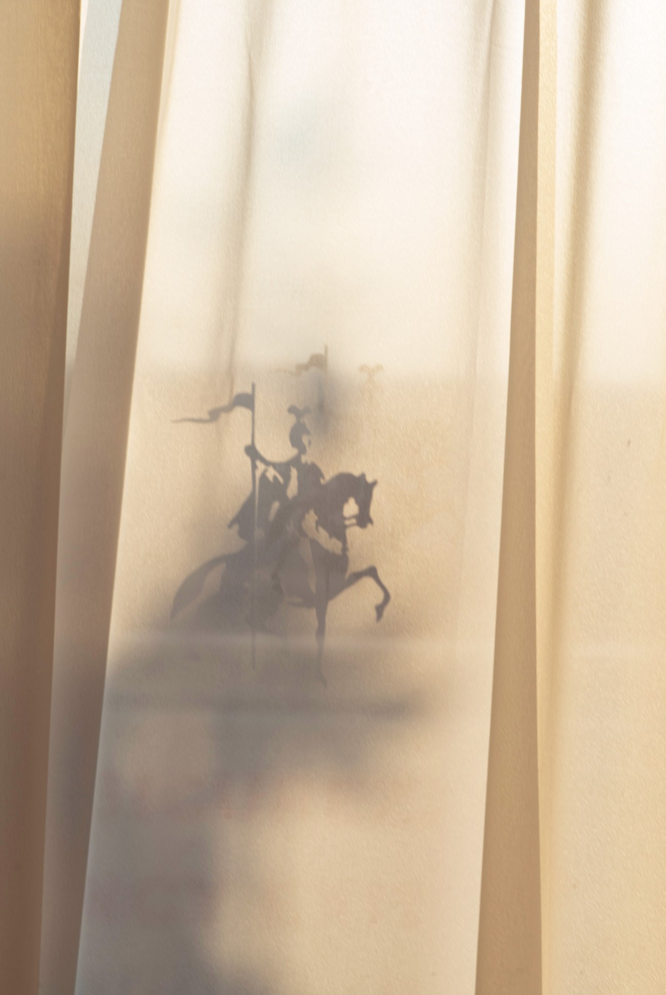 Shadow of an equestrian statue projected onto sheer white curtains in soft, diffused light.