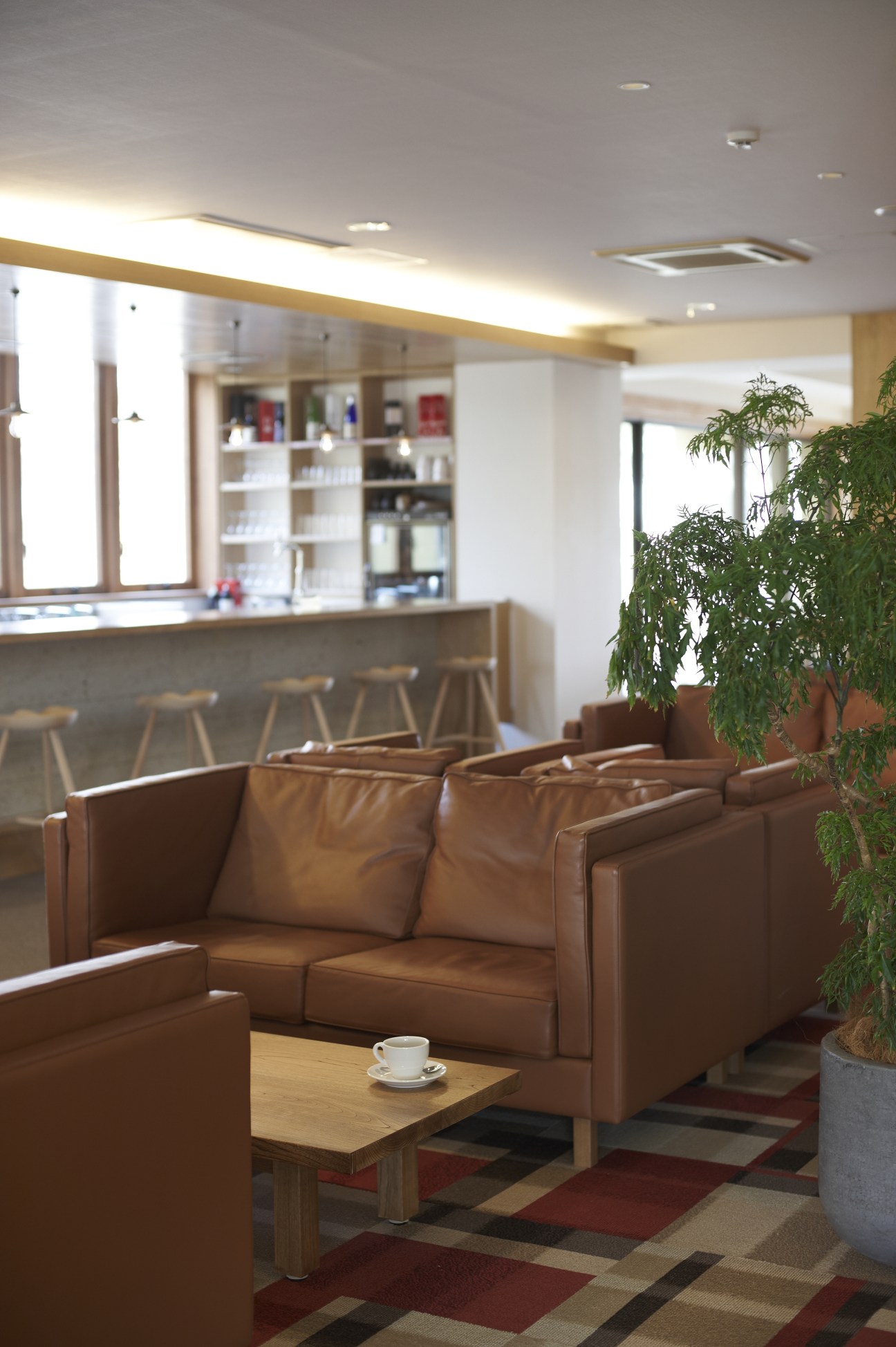 Modern hotel lounge with brown leather seating, wooden coffee table, potted plant, and bar counter with shelving in background.