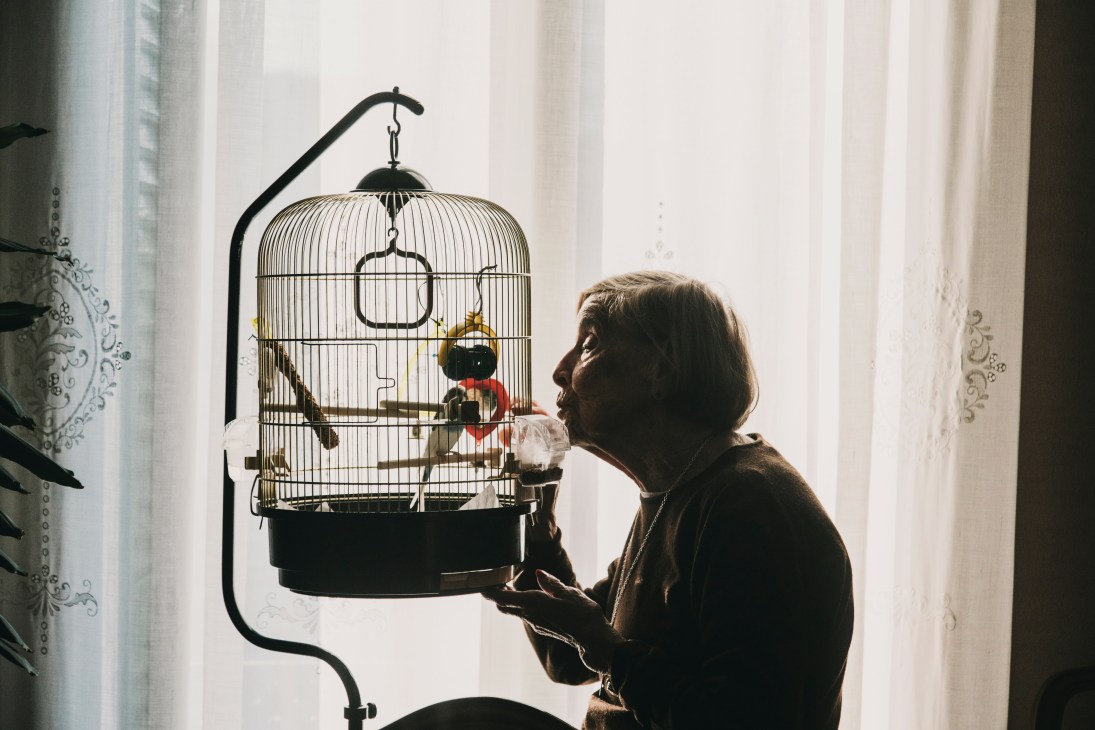 90-year-old Montserrat Monsó feeds her blue budgerigar Chiquitín in a decorative birdcage by a sunlit window.