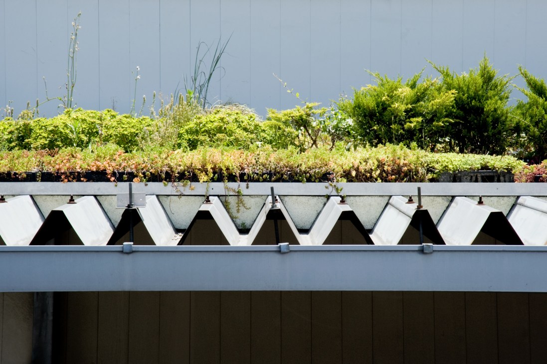 Roof garden experiment with various plants and shrubs growing in wavy planting units at Nihon Chiko factory.
