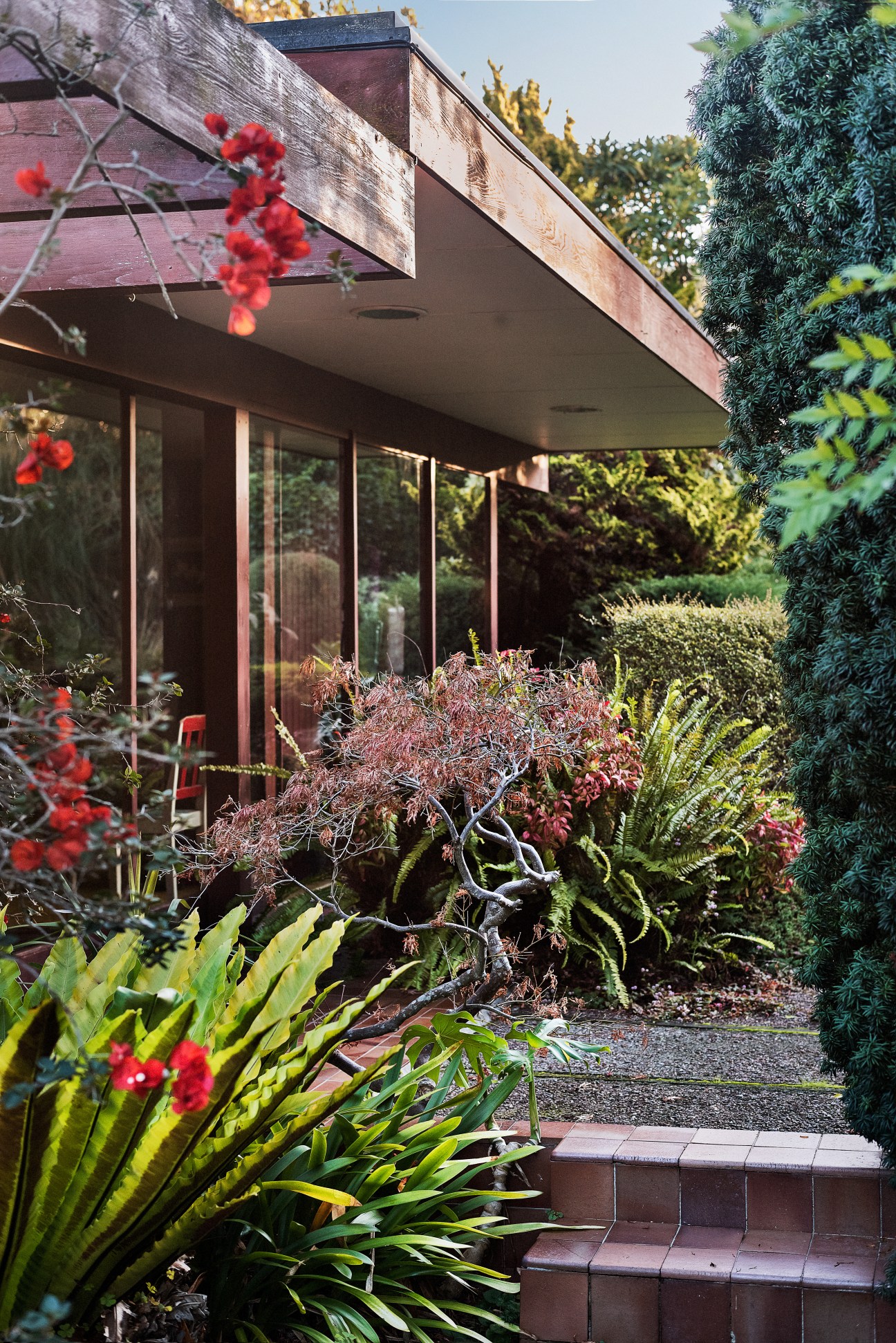 A modernist house with floor-to-ceiling windows surrounded by a lush garden with flowering plants and climbing ivy.