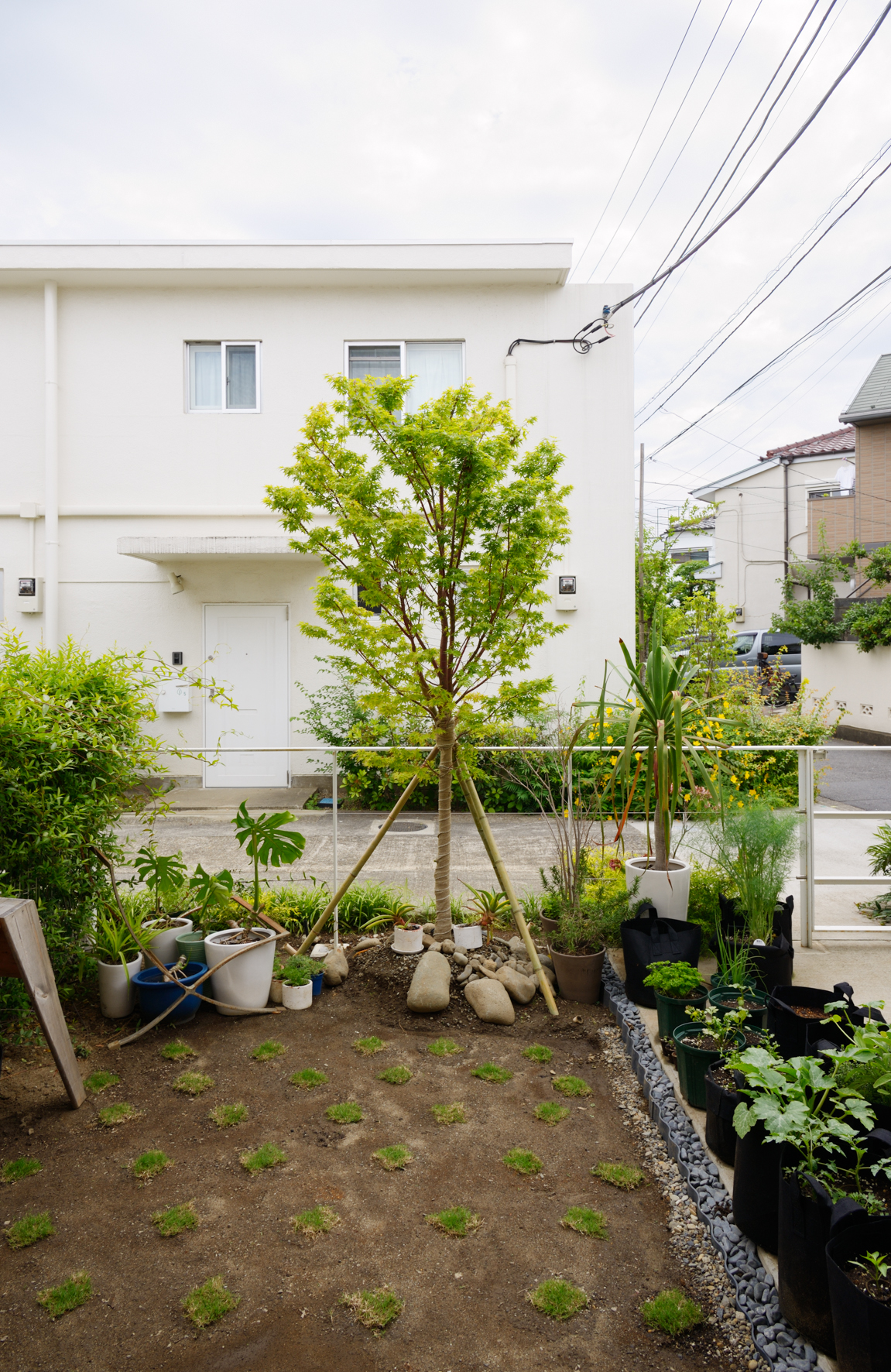 Small garden with young tree, potted plants, and gravel at a converted East Japan Railway house.