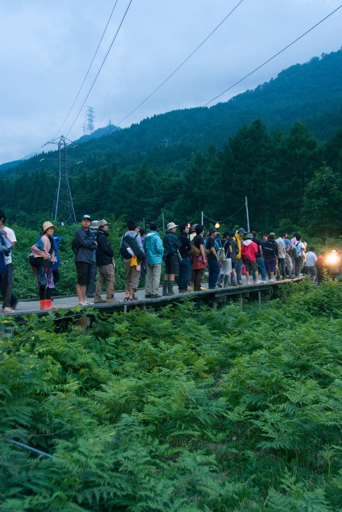 Festival attendees stand on a wooden boardwalk through forest at dusk with illuminated lanterns overhead.
