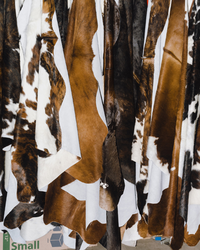 Cowhides in brown and white patterns hanging at a vendor booth at Iowa State Fair