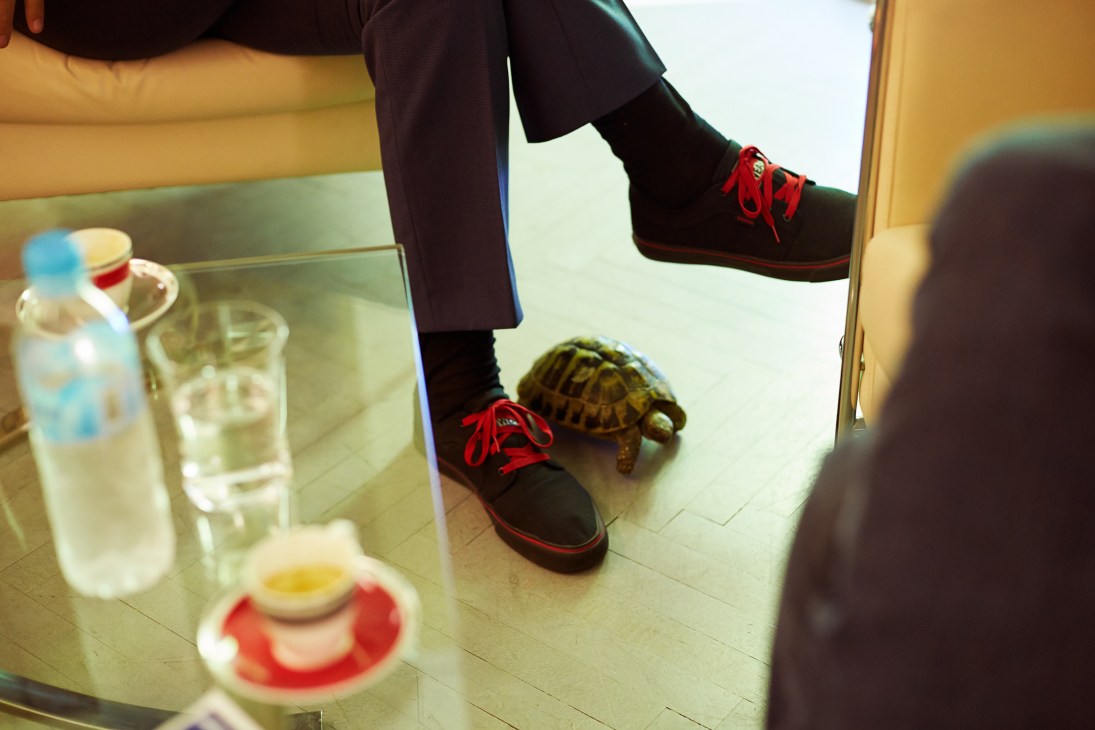 Person wearing red-laced black sneakers standing next to a turtle on a light floor.