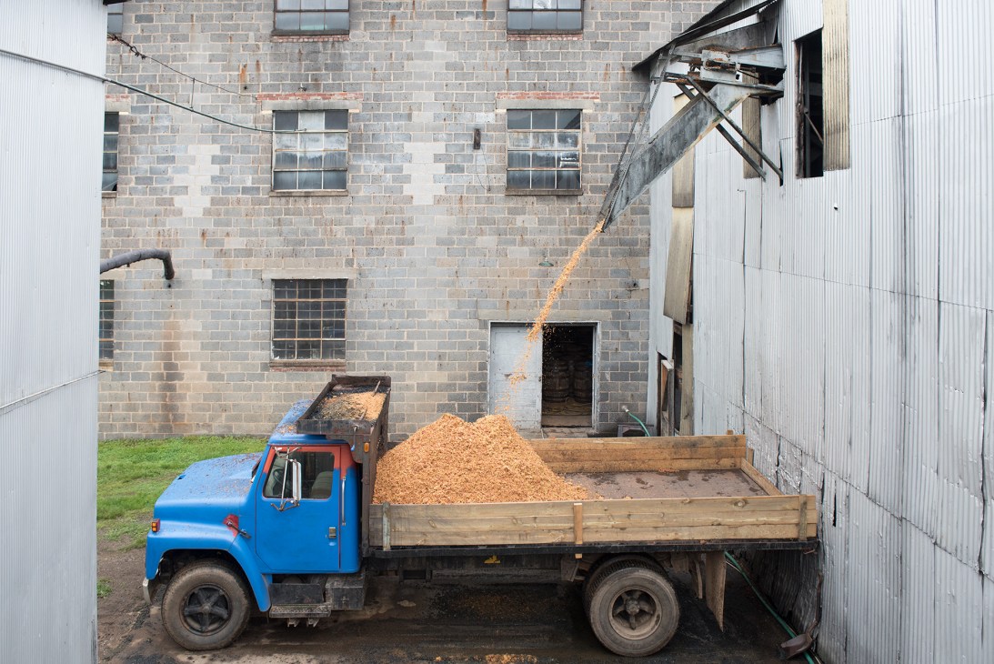 A blue truck loaded with apple pomace being filled via a chute at Laird & Company distillery.
