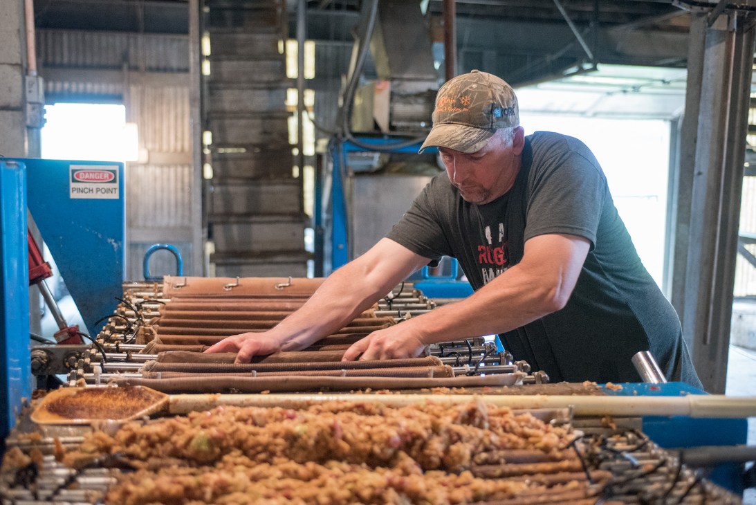 Distillery worker preparing a hydraulic accordion-press to squeeze juice from chopped apples at Laird & Company.