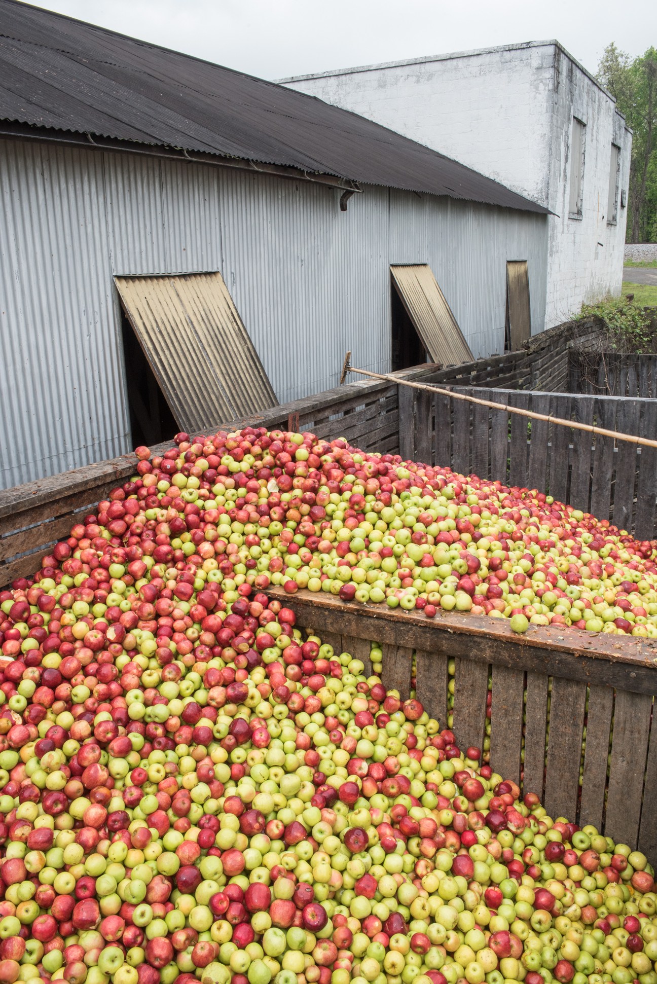Red and green apples piled in wooden bins outside an industrial mill building with corrugated metal siding.