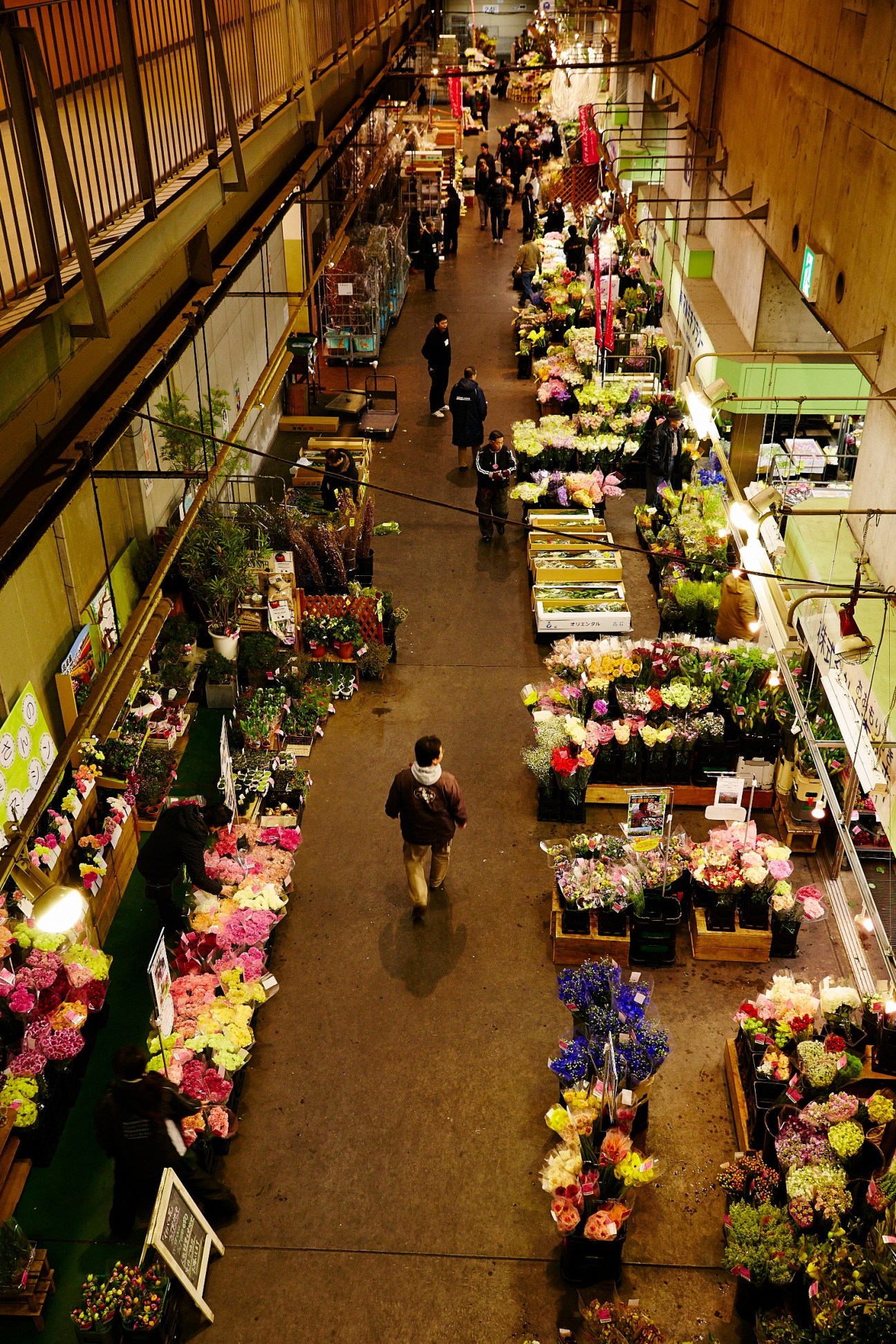 Overhead view of Ota flower market wholesale shops with colorful flower displays lining both sides of a central aisle.