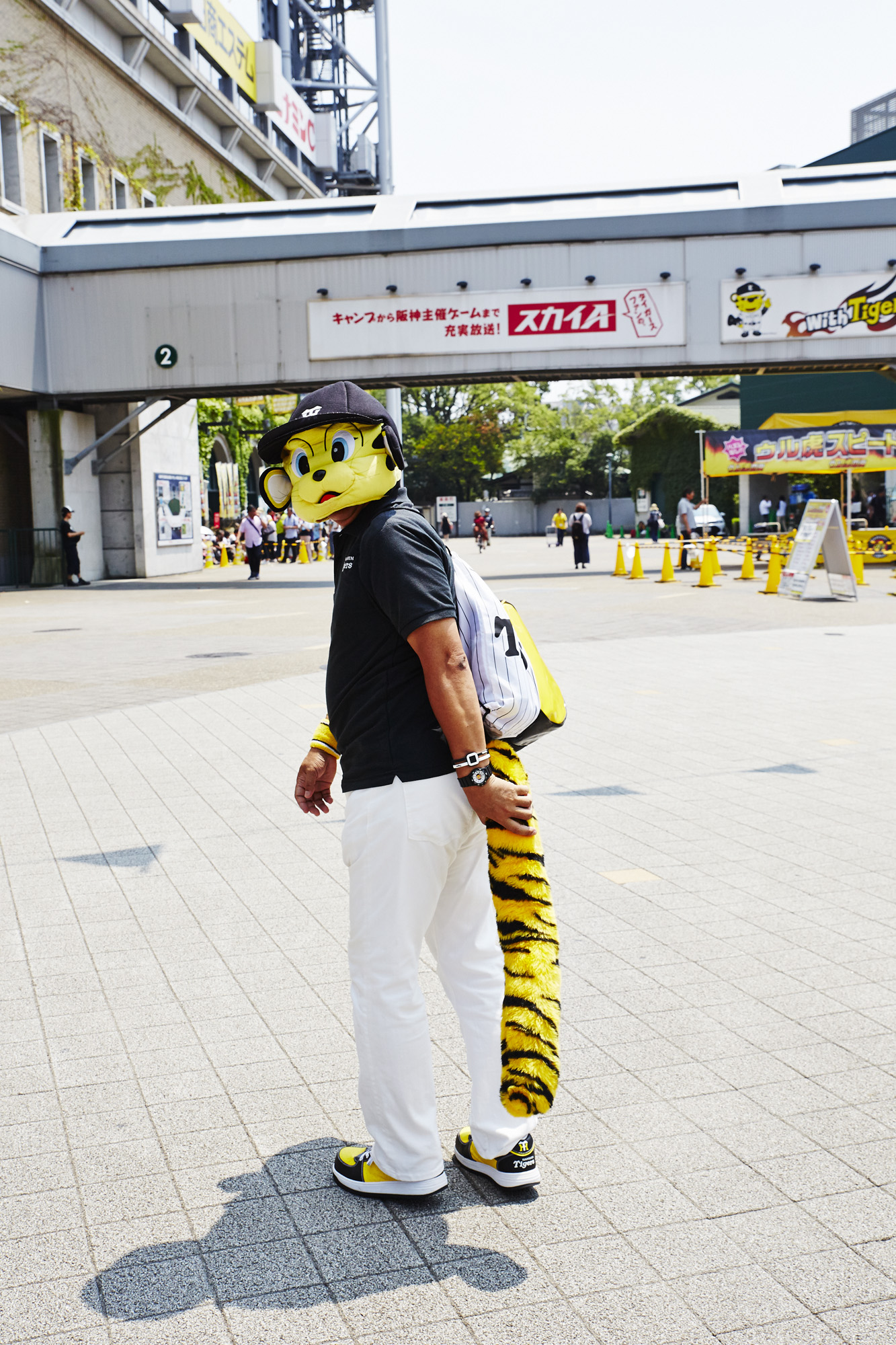 Osaka's Hanshin Tigers: Japan's Most Devoted Baseball Fans