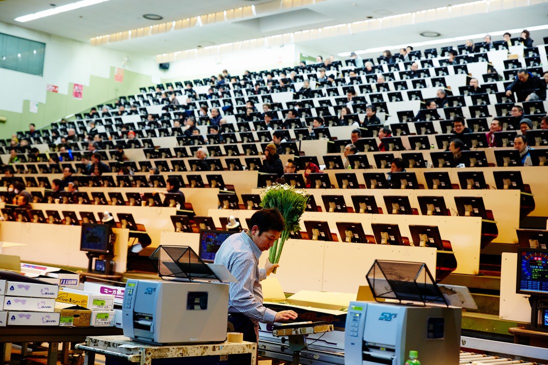 A buyer holds a bundle of green flowers at a trading desk in a large auction hall filled with bidders at computer terminals.