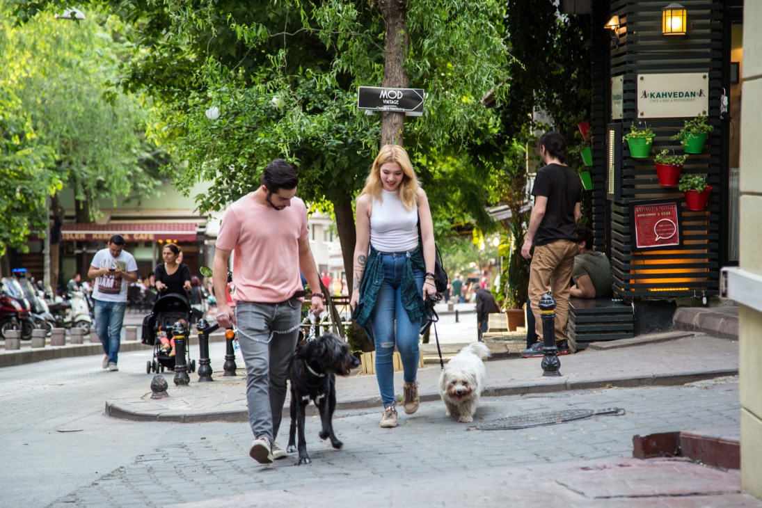 People walking dogs on a tree-lined street in Istanbul's Akarsu Caddesi neighborhood.