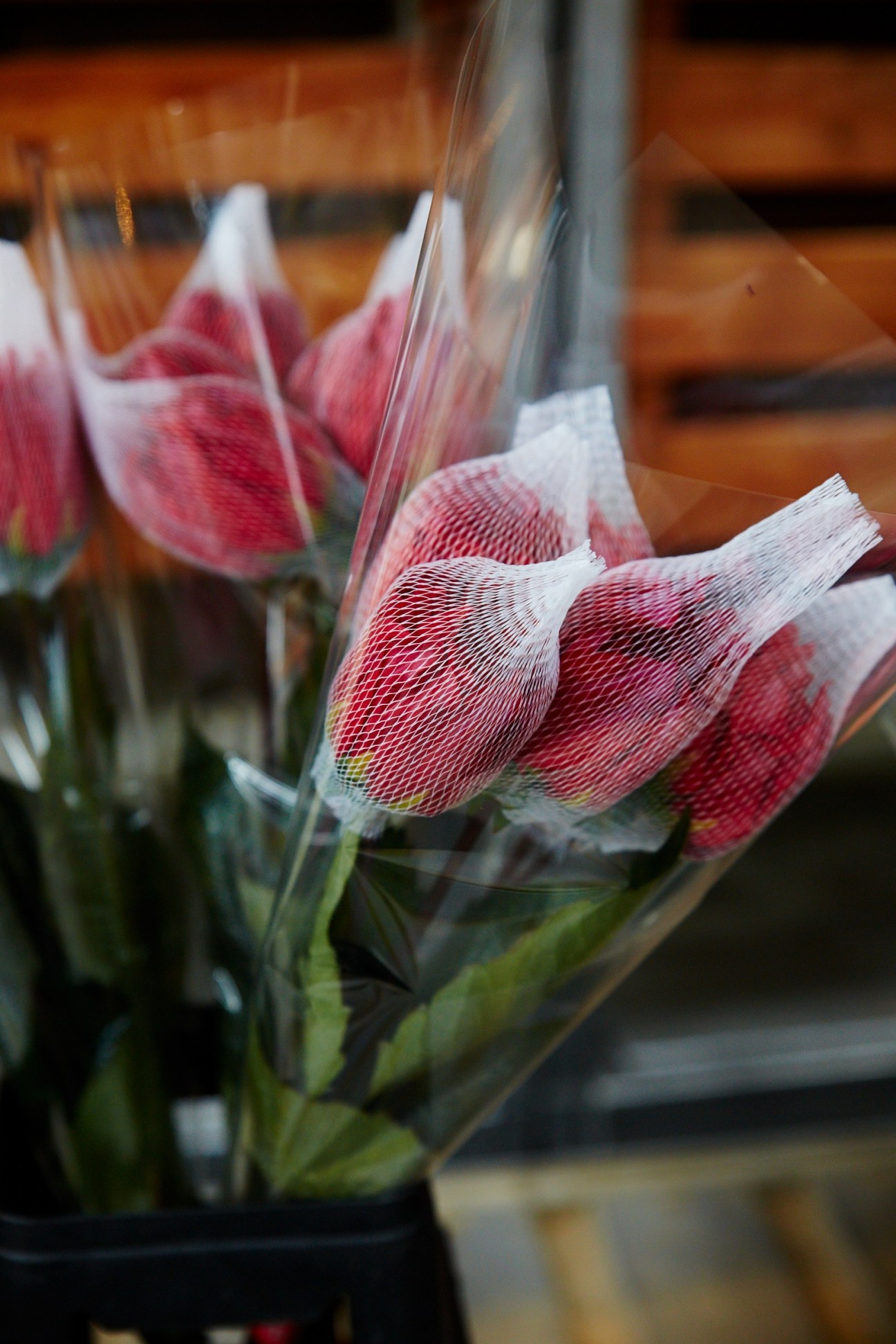 Red and white tulips wrapped in protective mesh netting at a flower market.