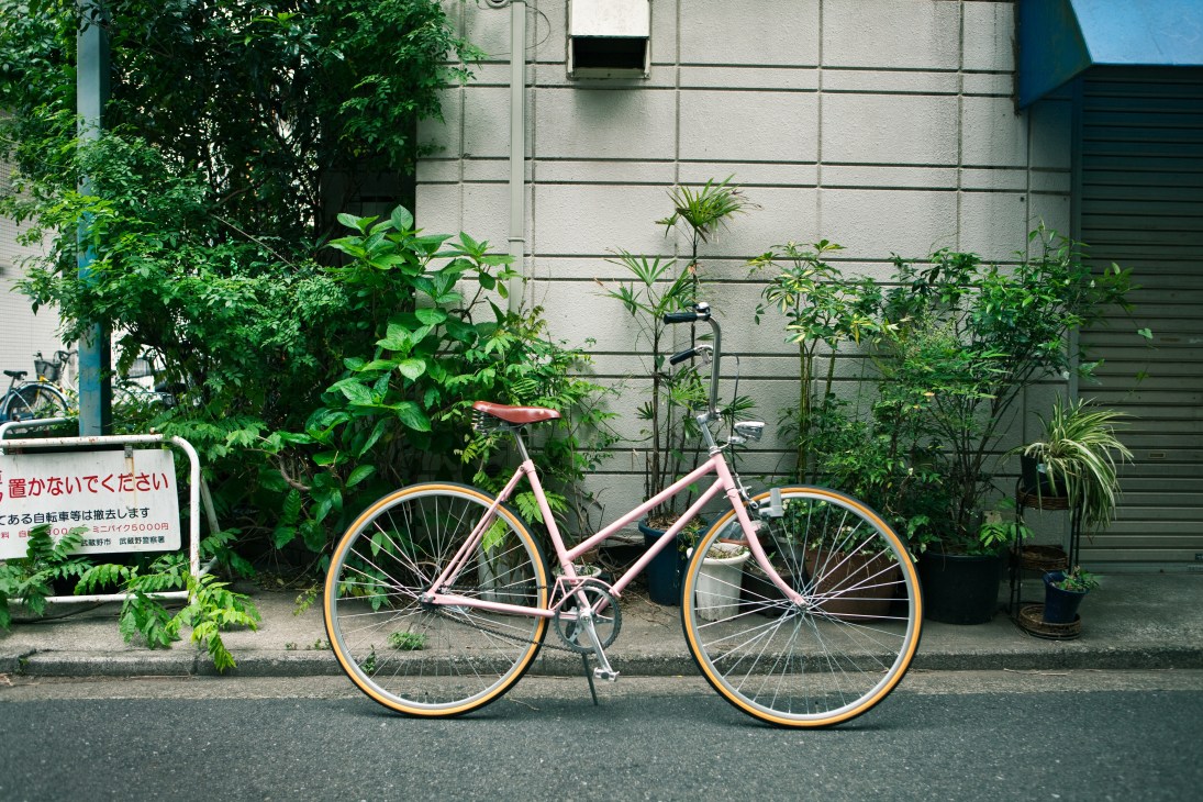 Pink fixed-gear bicycle with gold rims parked against a building with climbing ivy and potted plants.