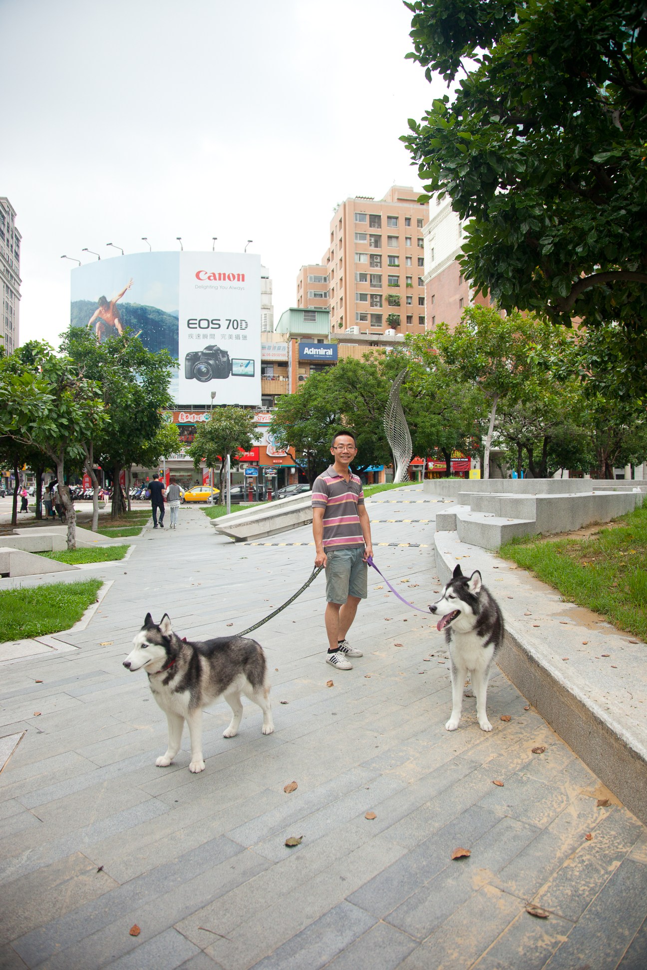 Man walking two huskies on leash along tree-lined urban pathway with buildings and Canon billboard in background