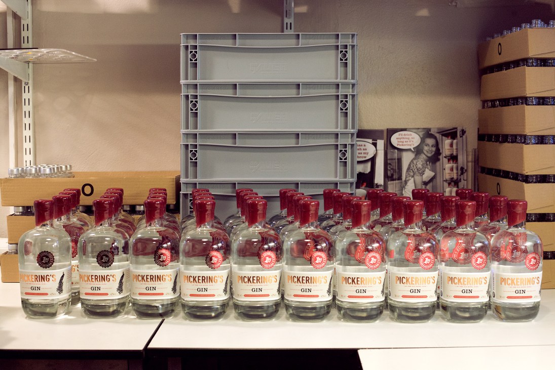 Multiple Pickering's gin bottles with red wax seals displayed in a row on a white surface.
