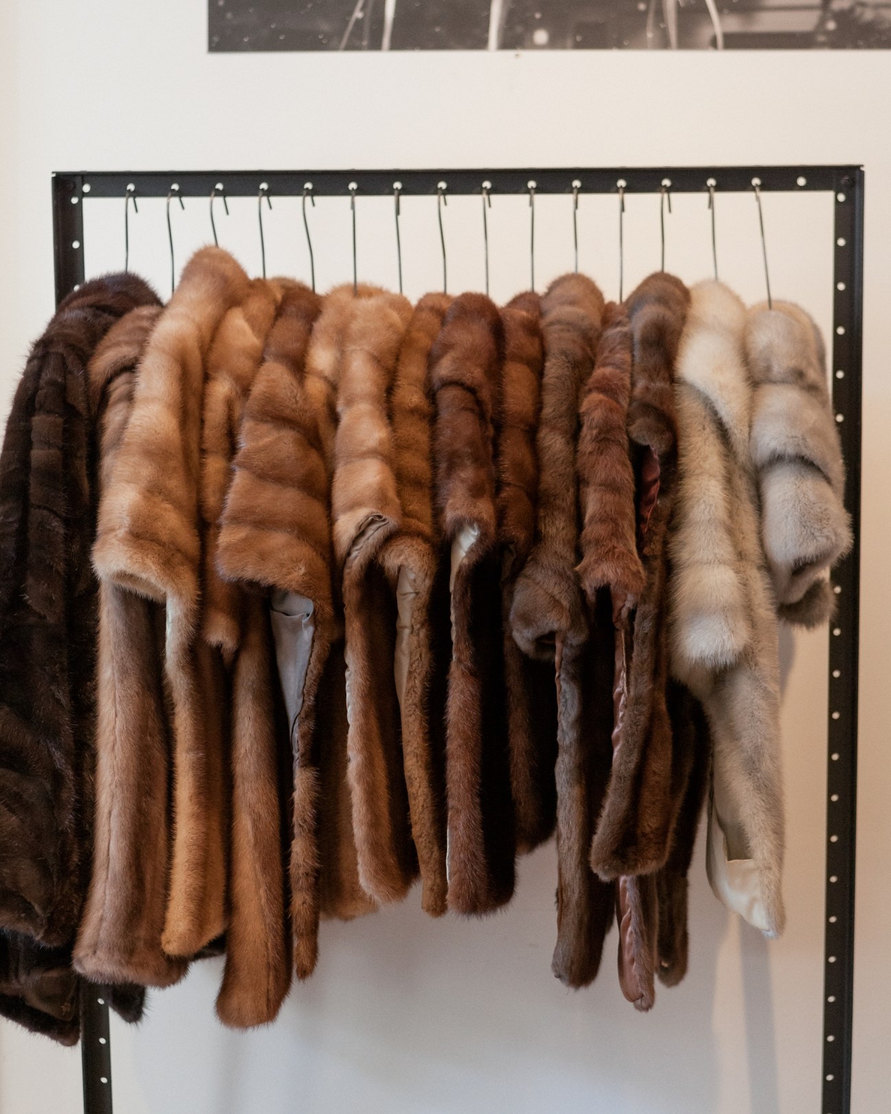 Multiple fur stoles and wraps in various brown and neutral shades hanging on a black metal rack with metal studs.