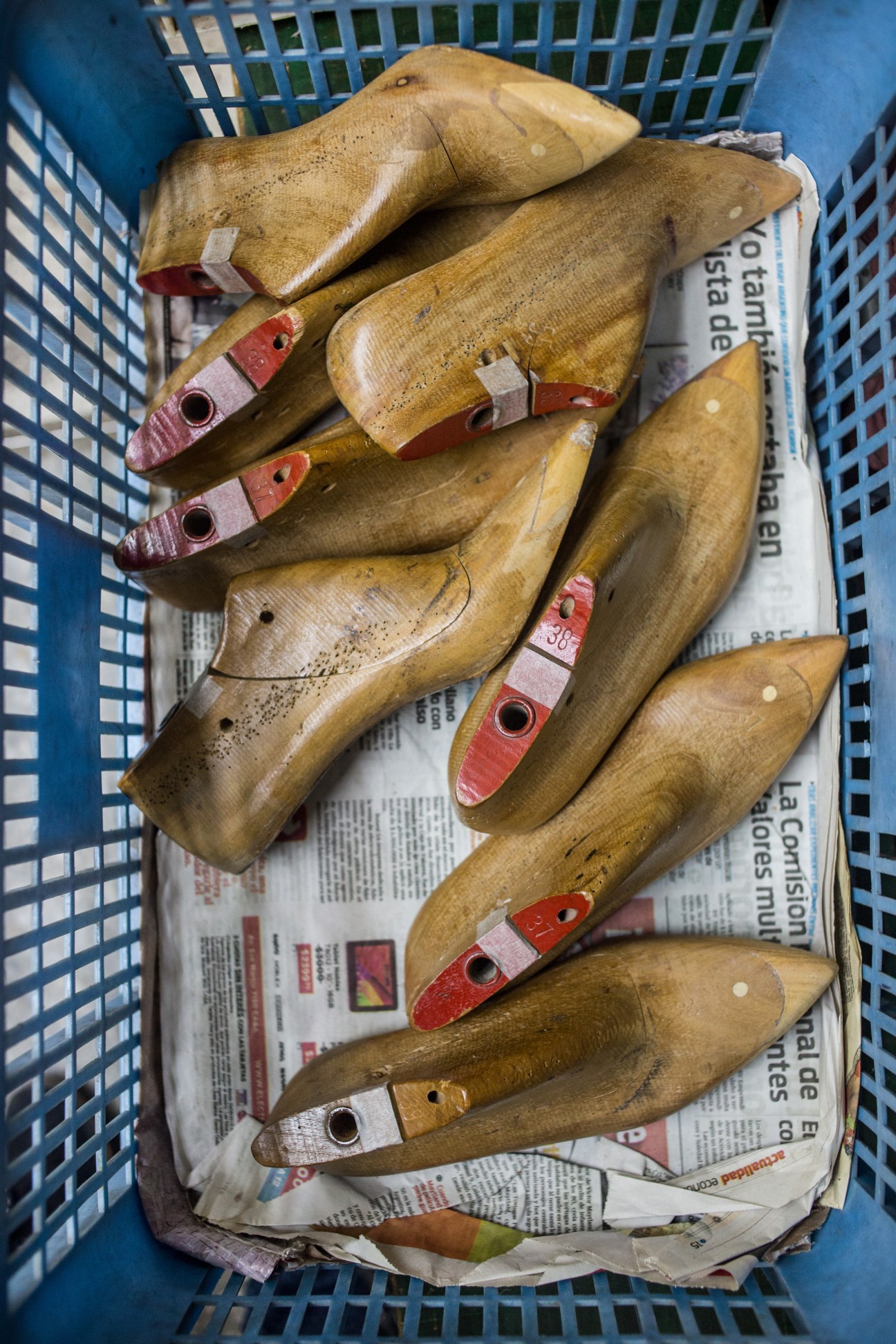 Wooden shoe lasts with red and pink leather heel pieces in a blue crate lined with newspaper.