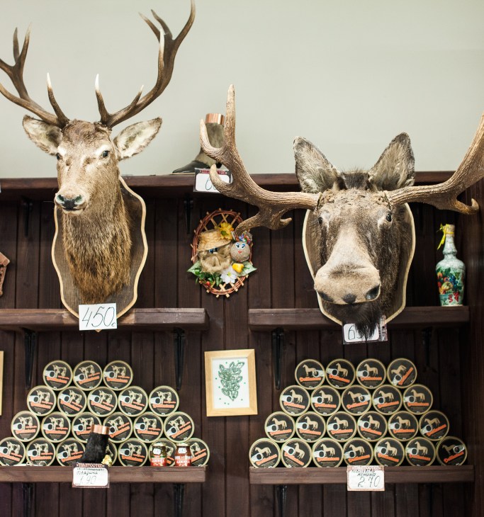 Taxidermied deer and moose heads with price tags displayed on a wooden wall in a butcher shop.