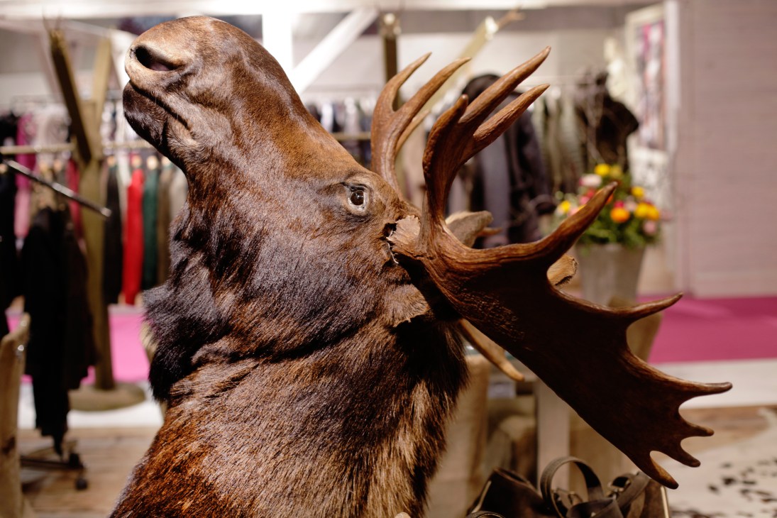 Carved wooden stag head with antlers displayed in a tracht clothing shop.
