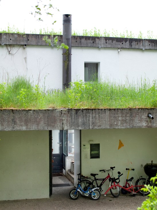Bicycles parked along the pedestrian walkways of the estate