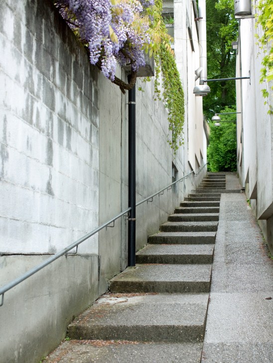 Stone steps connecting different levels of the estate, inspired by Bern's old town