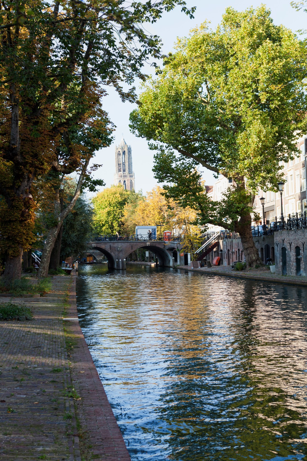 Utrecht's Oudegracht canal with tree-lined banks, historic bridge, and cathedral tower in autumn