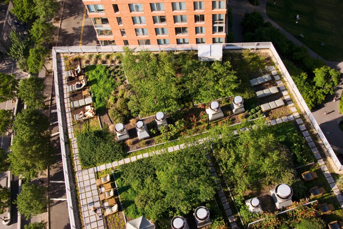 Aerial view of a lush green roof garden with seating areas, plants, and pathways on a residential building.
