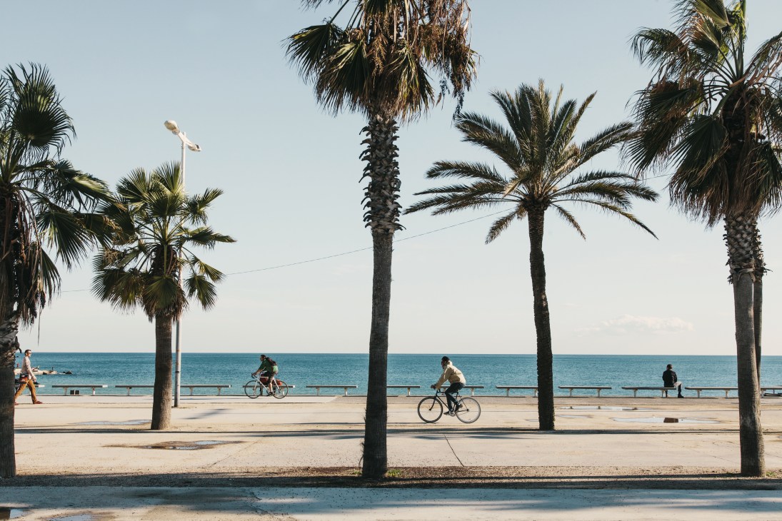 Cyclists ride on a beachside boardwalk lined with palm trees overlooking the Mediterranean Sea.