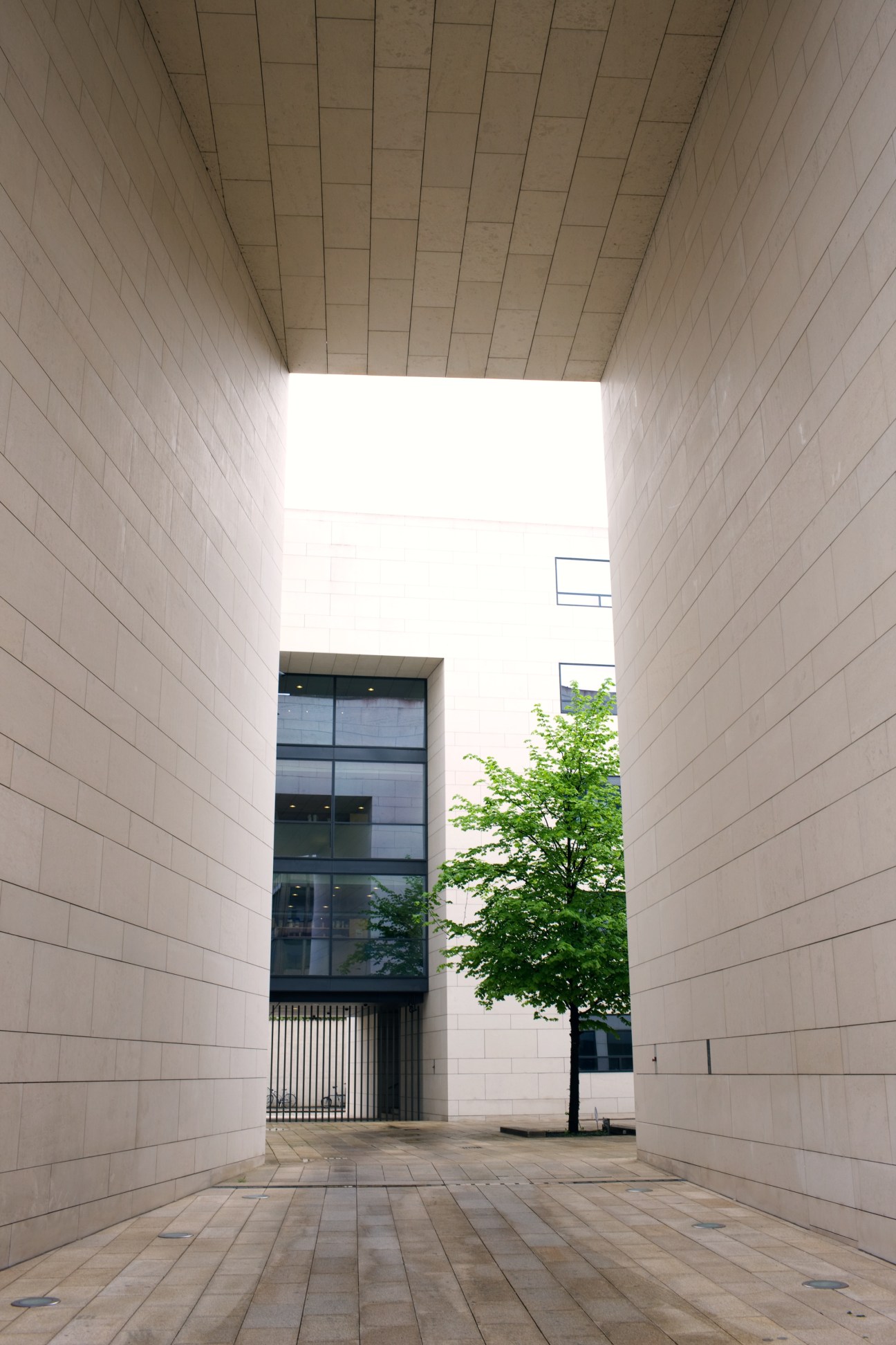Minimalist corridor with white tiled walls, ceiling, and floor leading to a modern glass door and window with green foliage visible beyond.