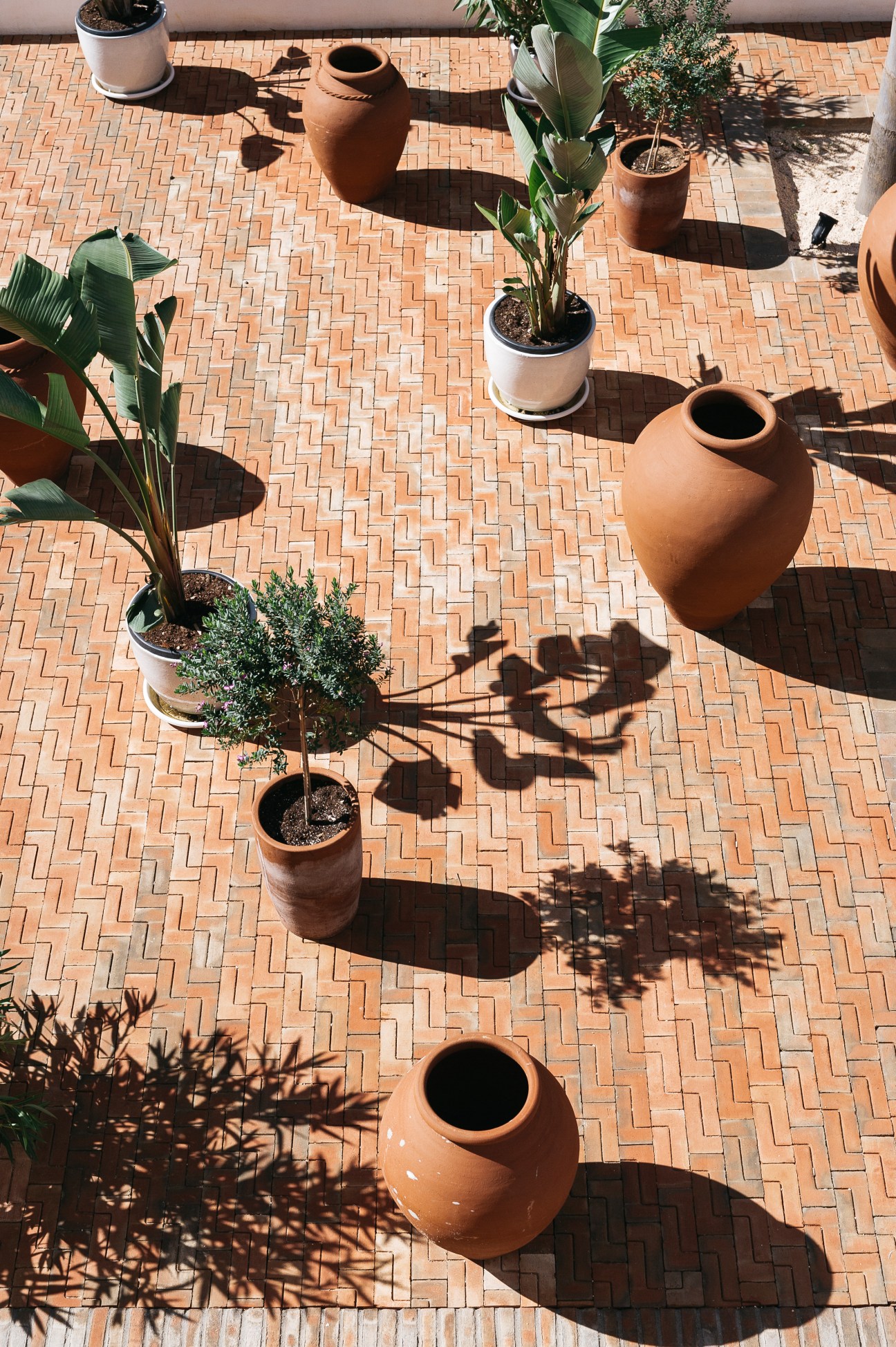 Overhead view of terracotta vessels and potted plants arranged on a herringbone brick courtyard.