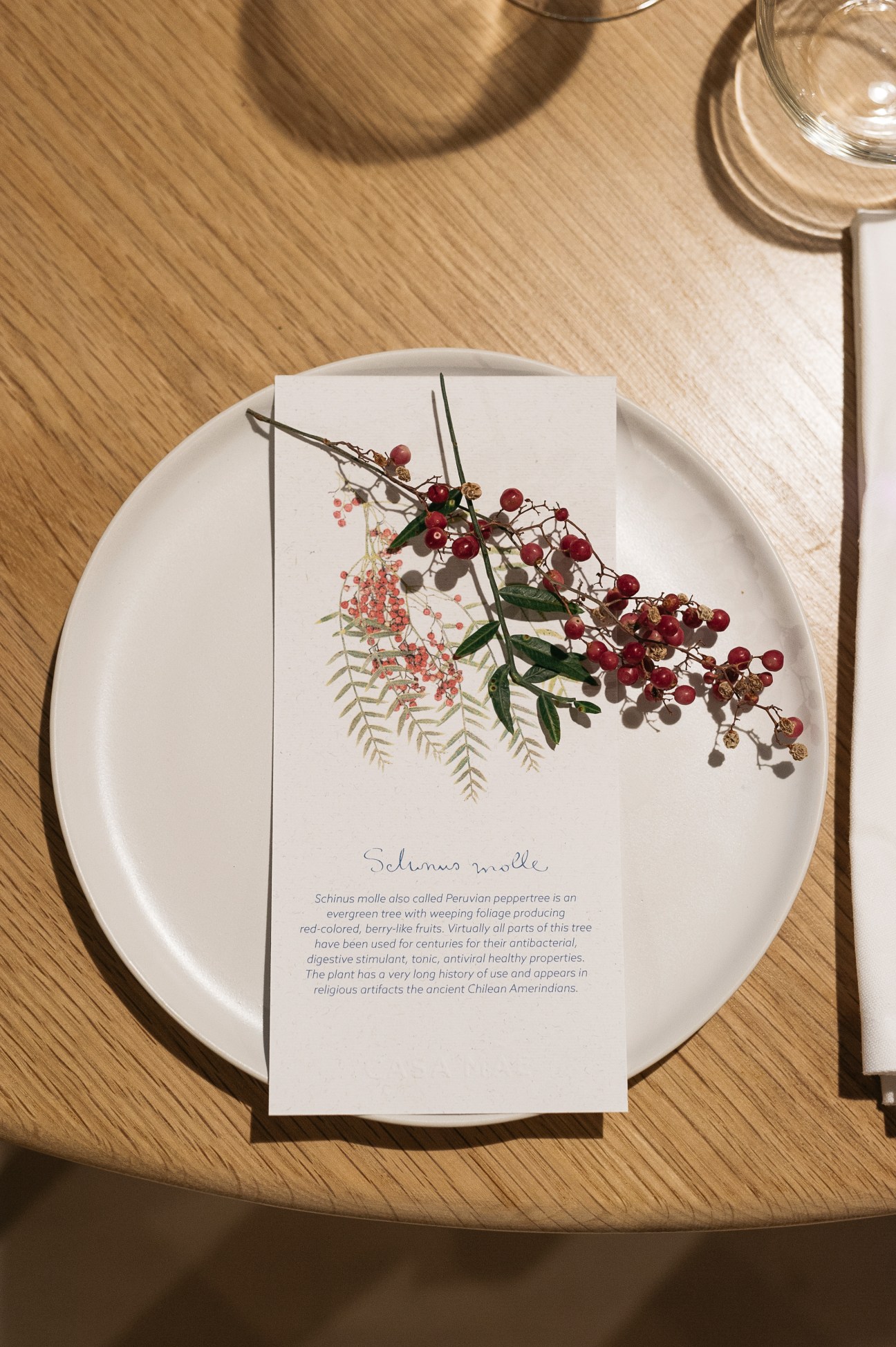 White ceramic plate with botanical illustration and menu text on wooden table surface.