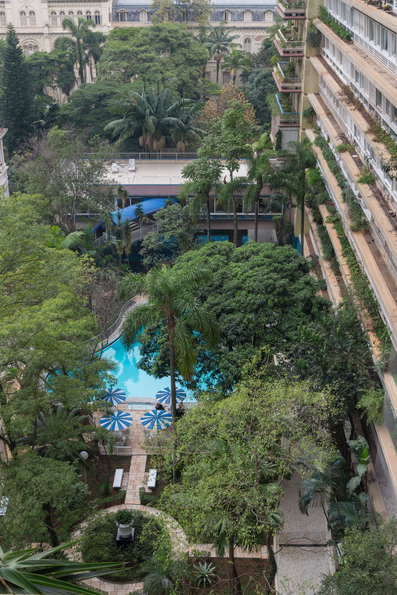 Aerial view of Bretagne Building's courtyard with splash-shaped pool surrounded by lush green vegetation and palm trees.